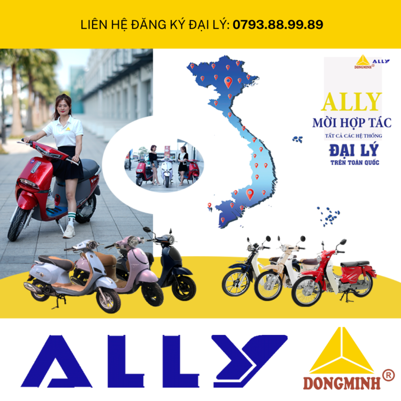 THƯƠNG HIỆU THĂNG HẠNG, TÀI CHÍNH THĂNG HOA KHI TRỞ THÀNH ĐỐI TÁC CỦA ALLY