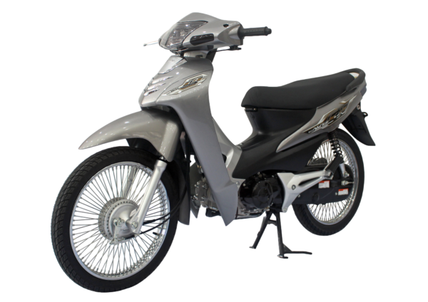 ALLY WS - Xám bạc