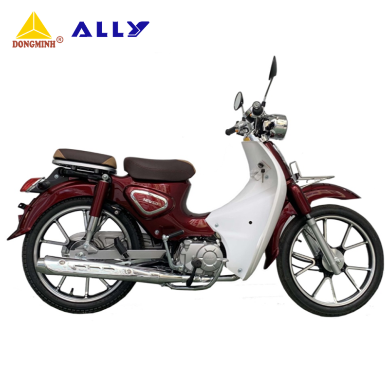 ALLY NEW 50 PHIÊN BẢN 2020 CÓ GÌ NỔI BẬT